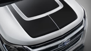 Body Side Molding Black